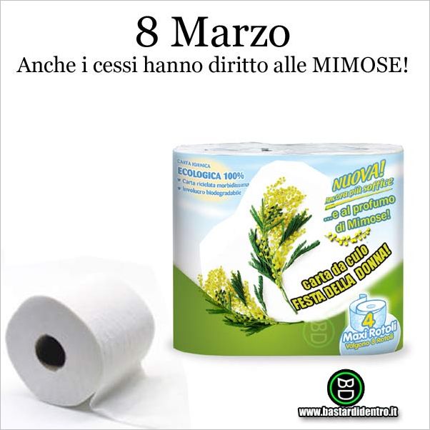 BD724--Diritto-alle-mimose