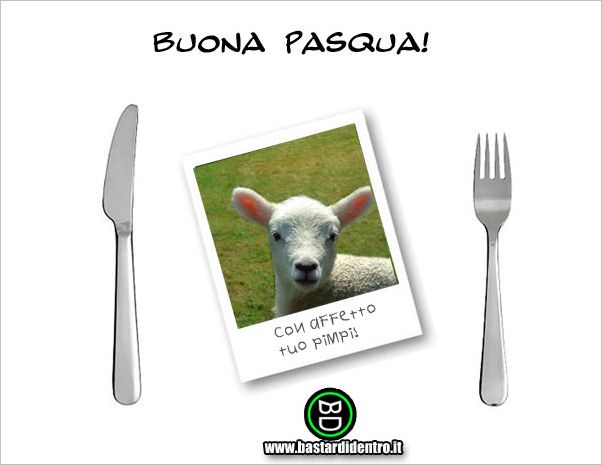 BD755-Agnello-fotogenico-