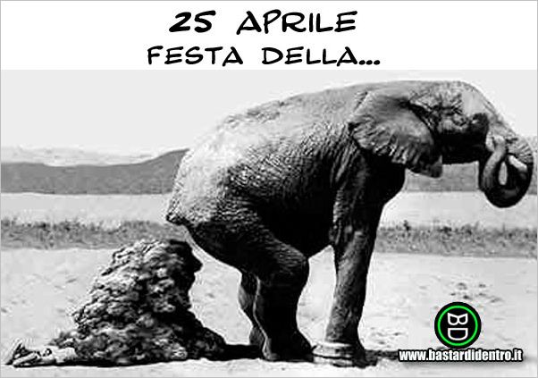 BD772-25-aprile