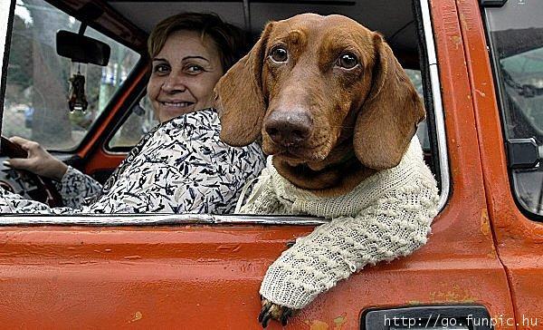 00021858.jpg - As temperatures in Havana, Cuba, decline during the winter season, a woman keeps her dog warm with a sweater Saturday, 05 February 2005. When temperaturs on the island decline many Cuban dog owners keep their dogs warm by using baby clothes. EPA/Alejandro Ernesto +++(c) dpa - Bildfunk+++